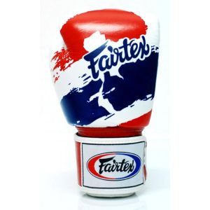 GANTS DE BOXE D'ENTRAINEMENT FAIRTEX THAÏ PRIDE