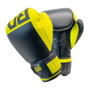 Gants de boxe pour homme et femme enfants, gants d'entraînement  professionnels pour sac de frappe pour adultes, en cuir, vert, 170,1 g :  : Sports et Loisirs