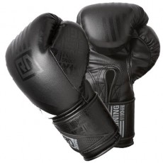 Gants de boxe Rdboxing training v3 noir